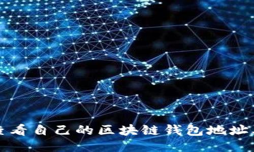 如何查看自己的区块链钱包地址及余额